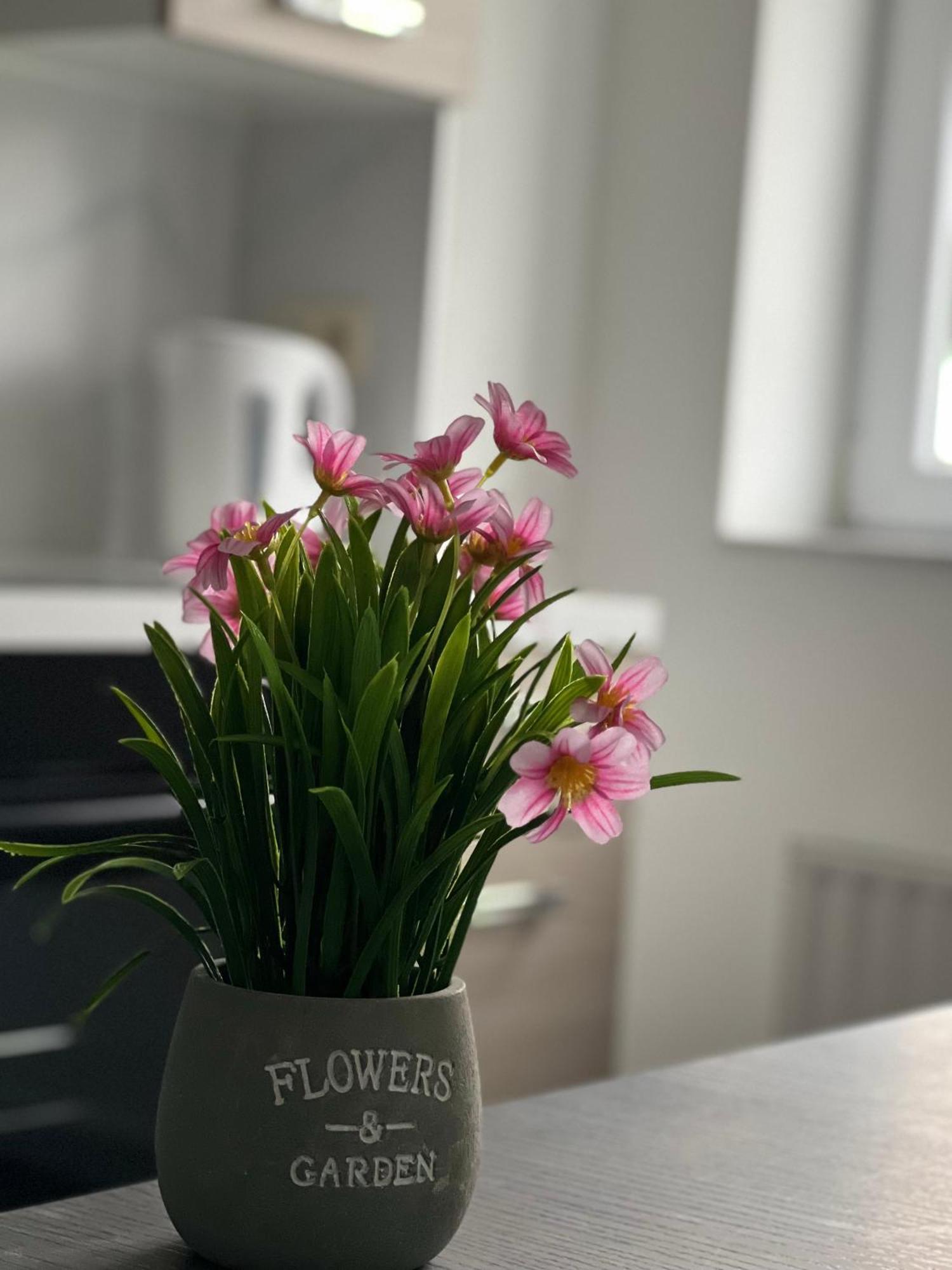 Maison D'Ans Eksteriør billede